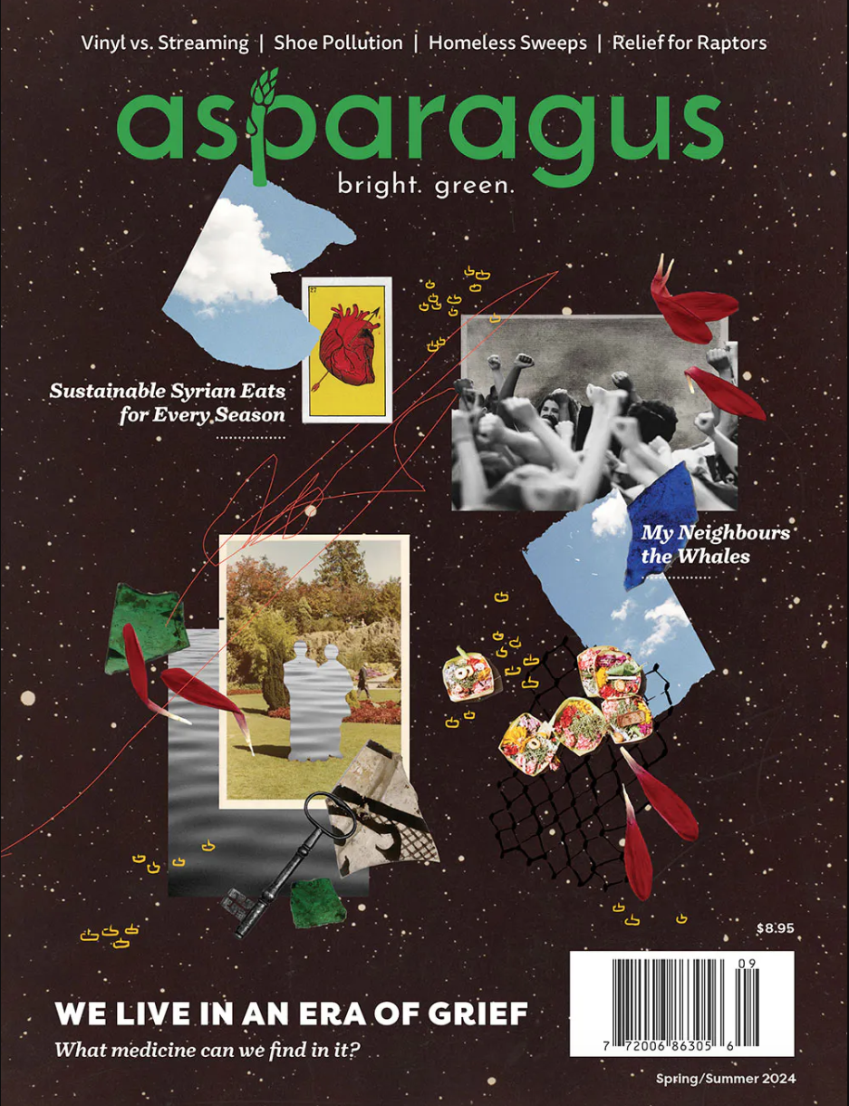 Asparagus Magazine Spring/Summer 2024 Issue