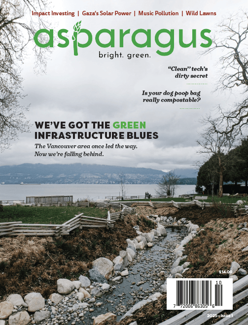 Asparagus Magazine cover for 2025-Issue 1