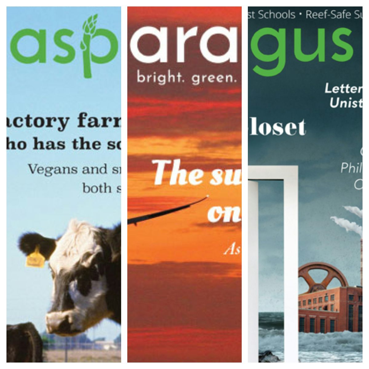 Asparagus Magazine Back-Issues Thumbnail