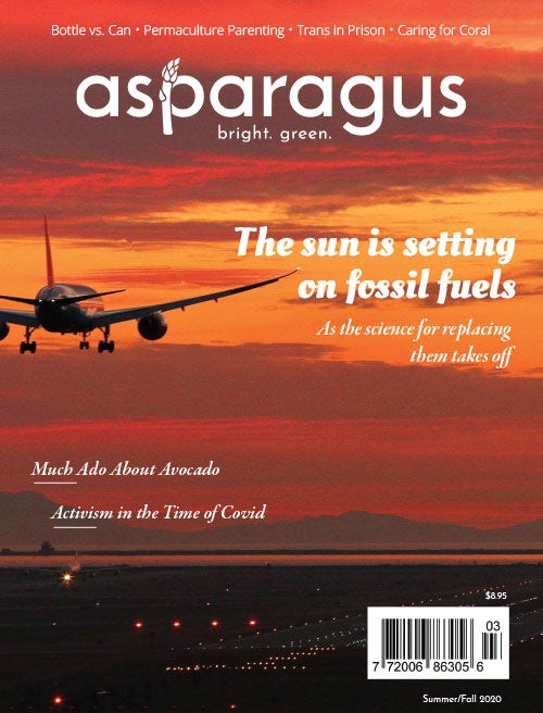 Asparagus Magazine Summer/Fall 2020 Issue