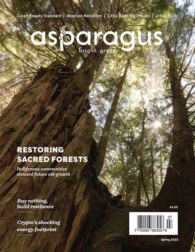 Asparagus Magazine Spring 2022 Issue